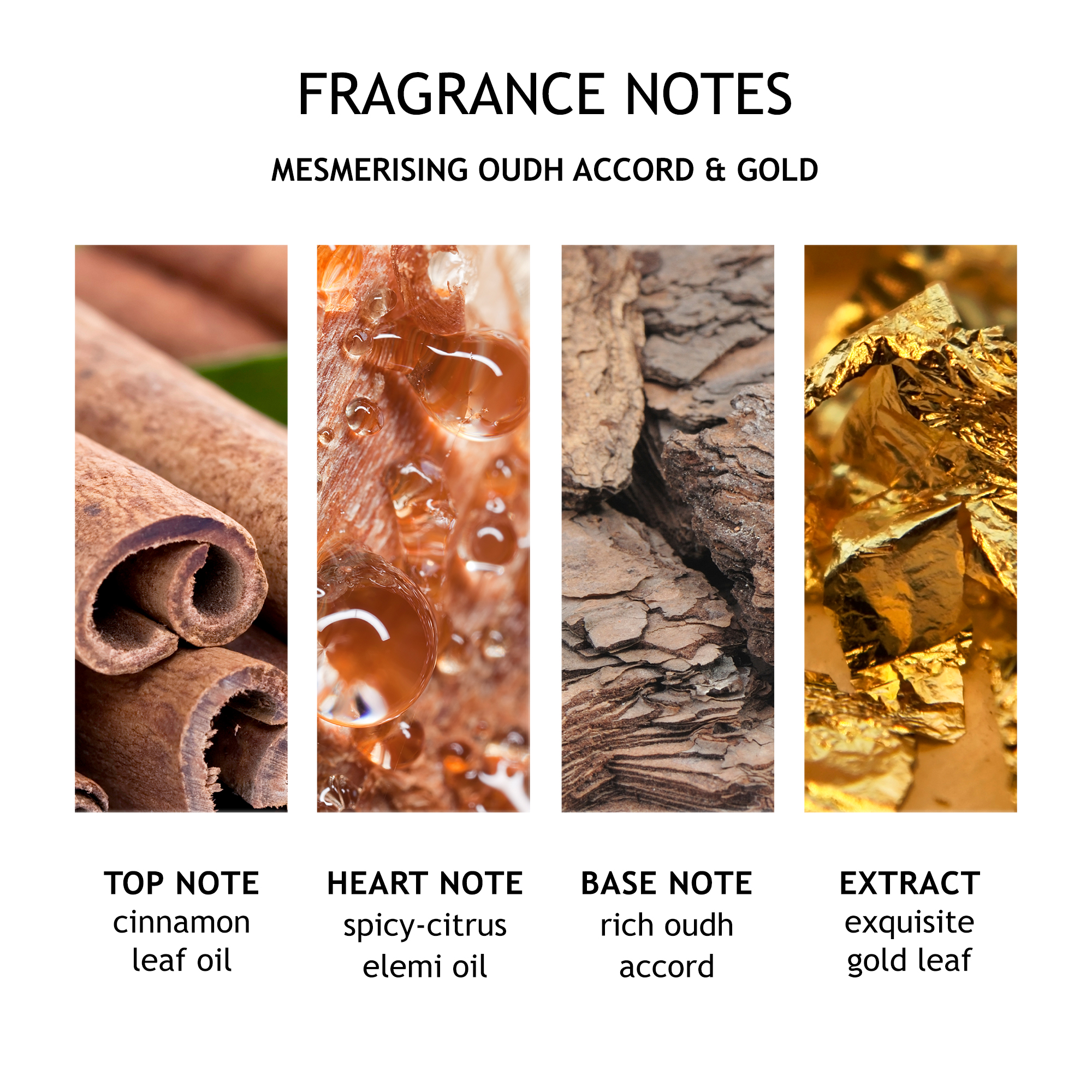 Mesmerising Oudh Accord & Gold Precious Body Oil