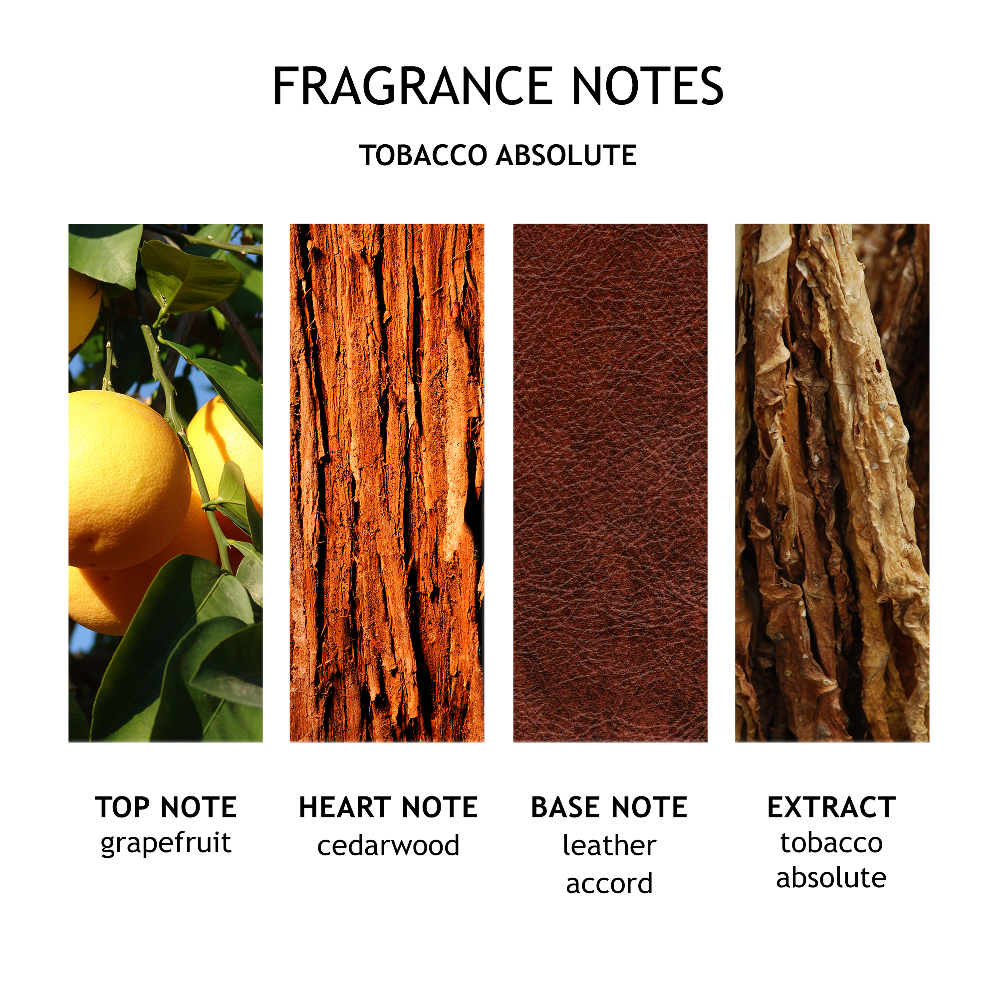 Tobacco Absolute Aroma Reeds