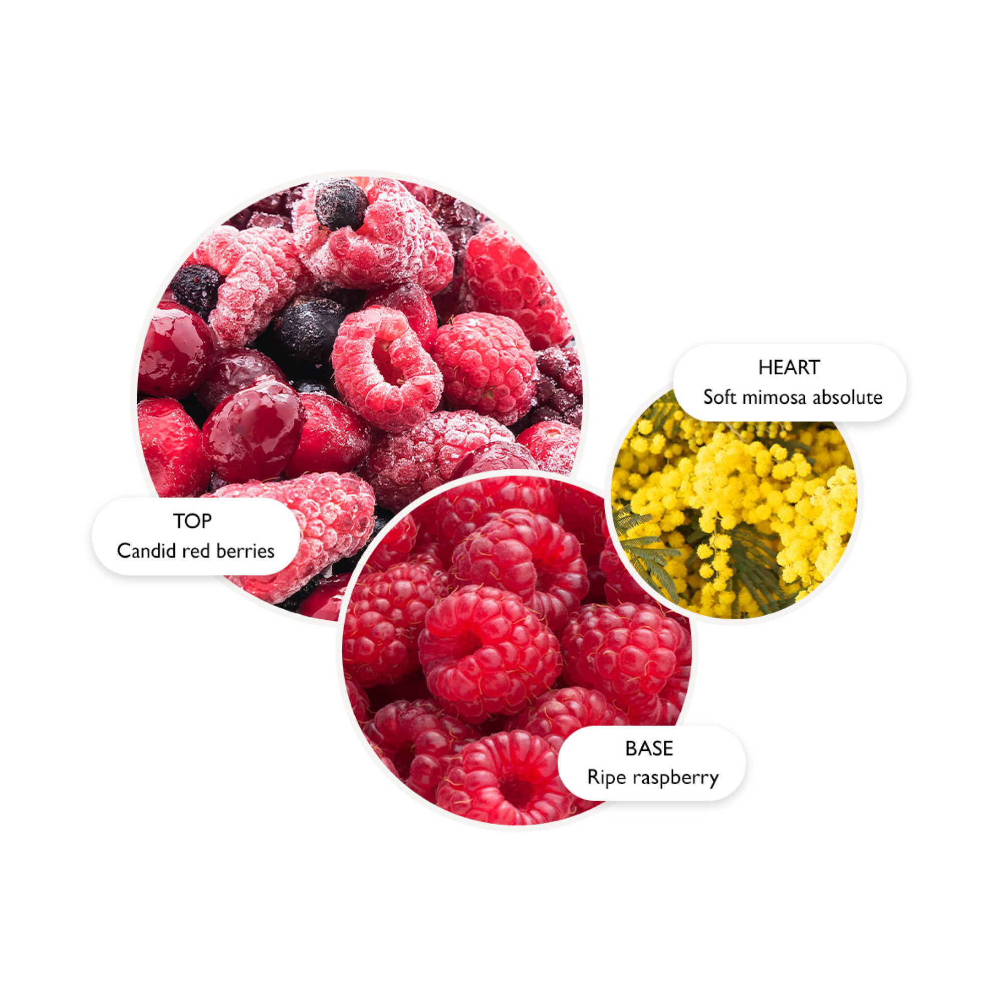 Merry Berries & Mimosa Körperlotion 